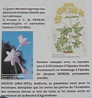 Des noms de botanistes pour des plantes (2).jpg